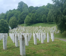 Srebrenica 5
